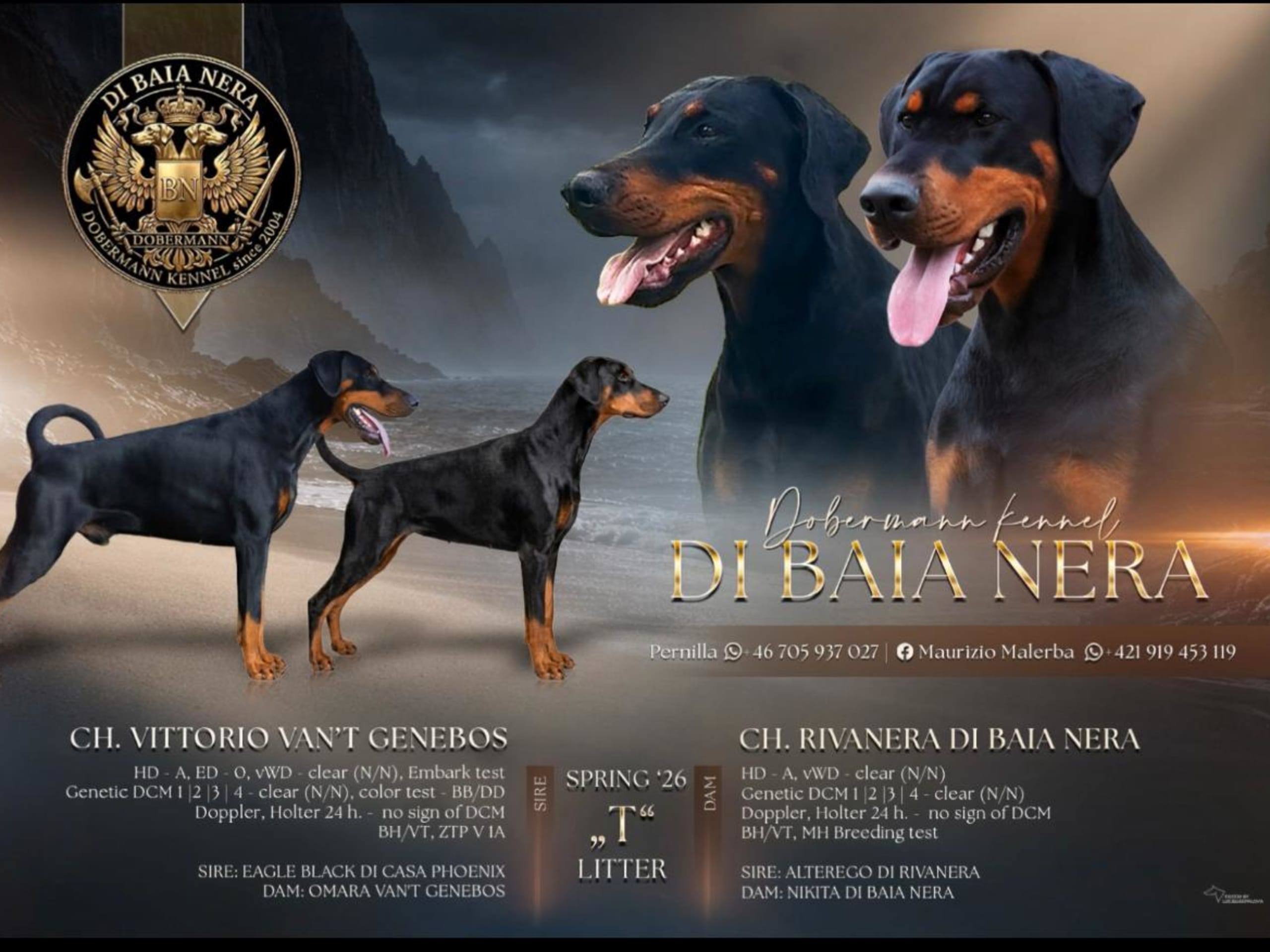 Dobermann