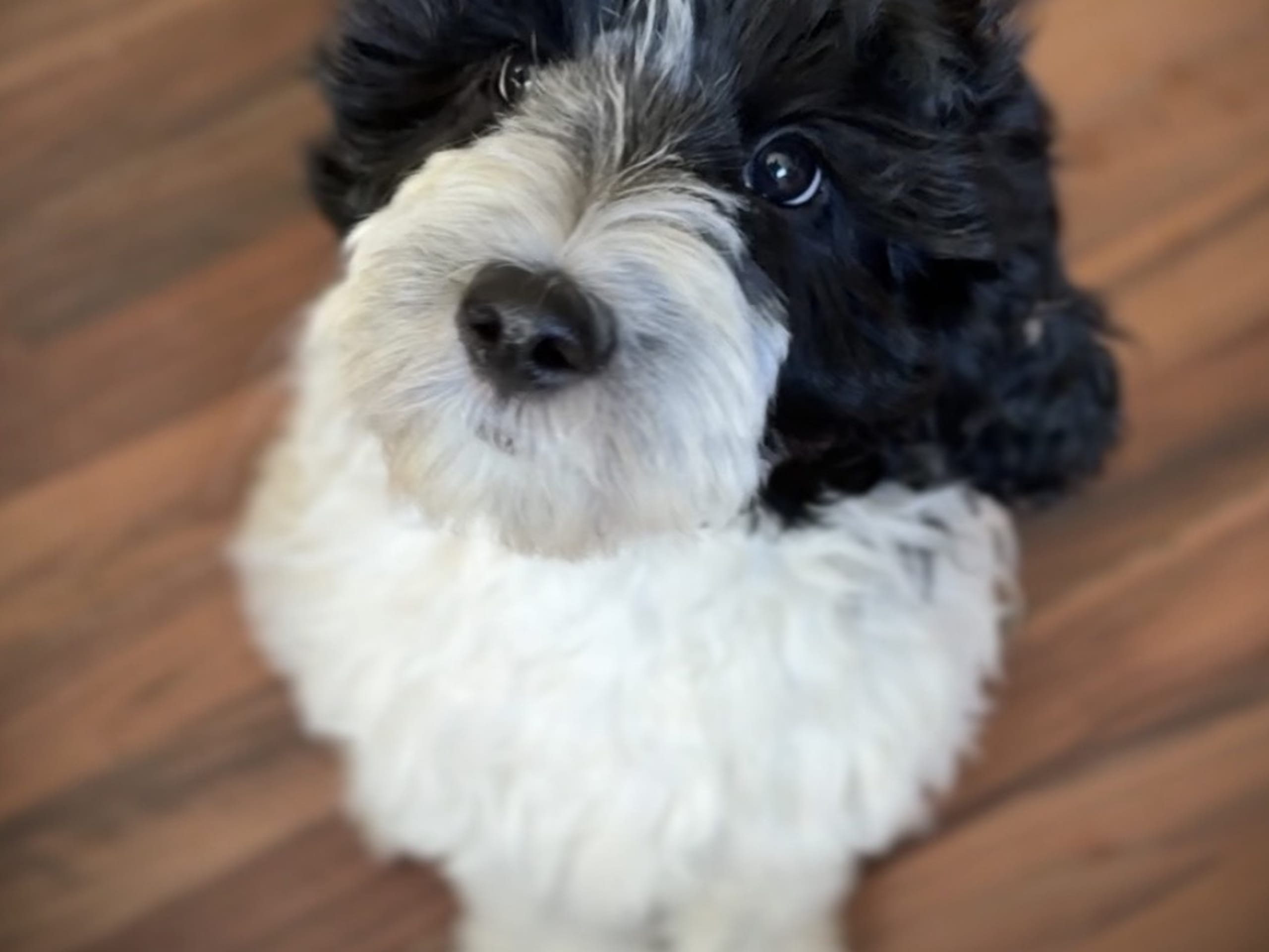 Kiri