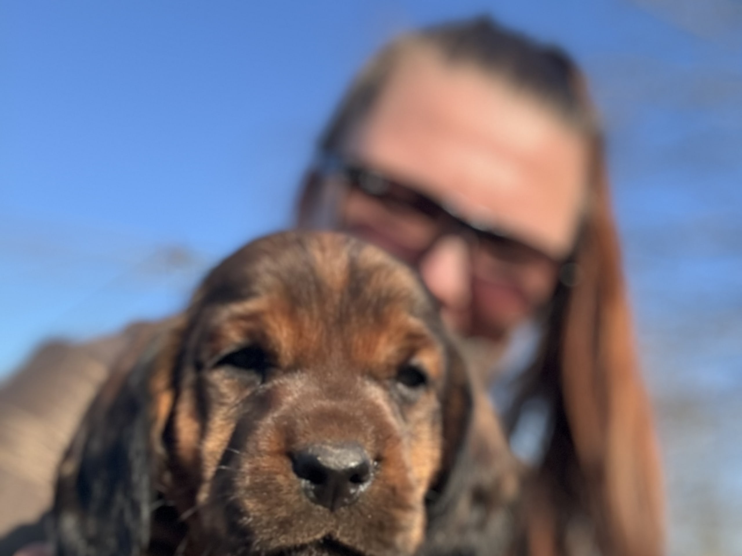 Puppy: Hane 3