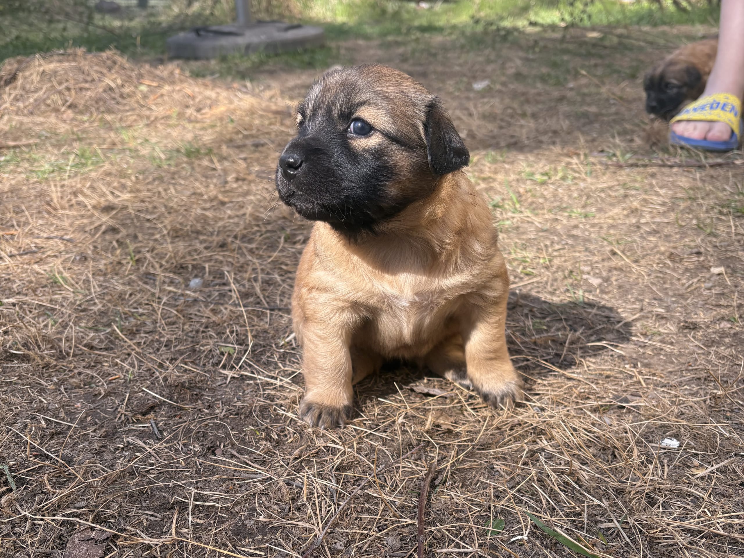 Luna
