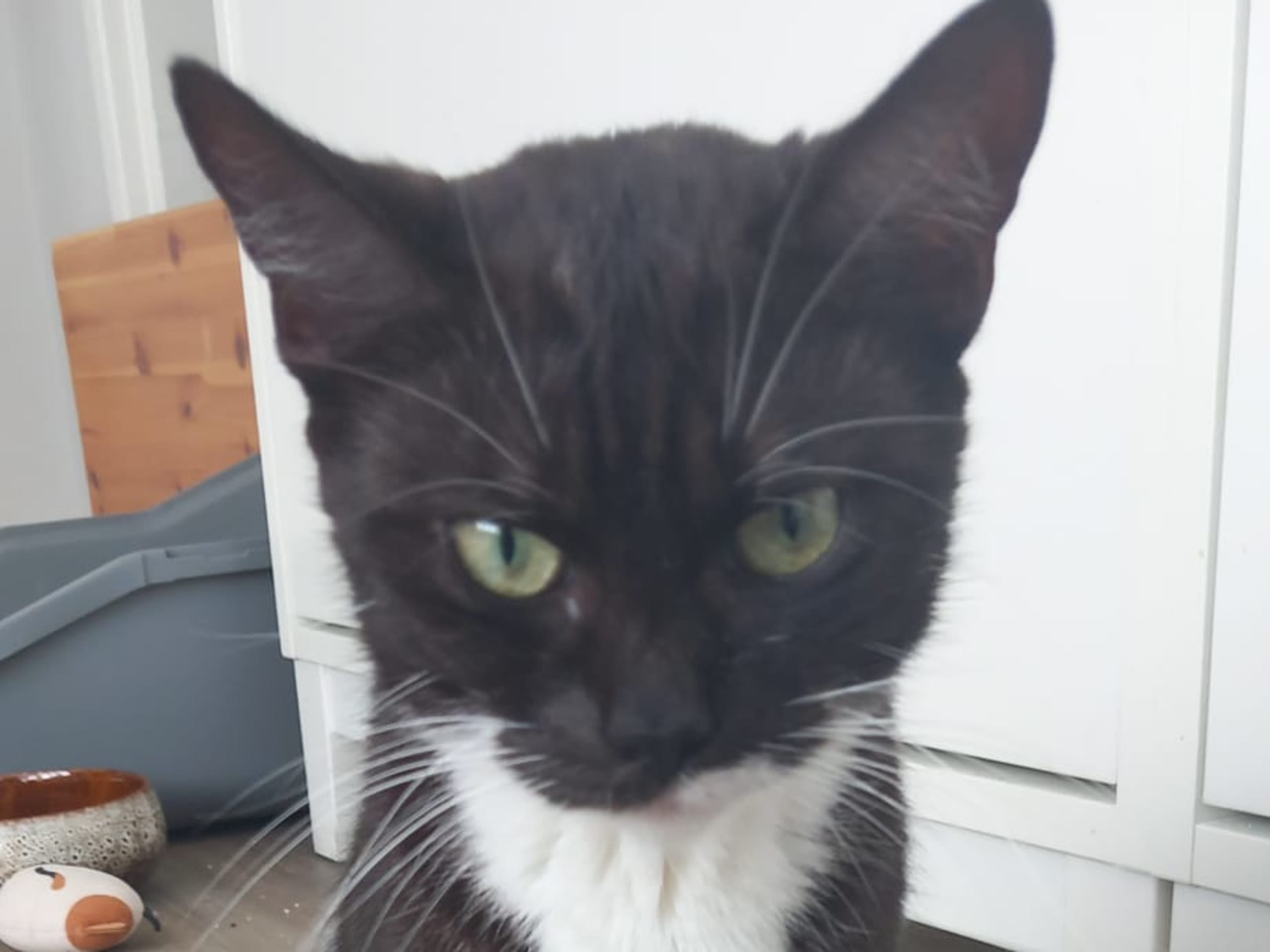 Mor: Nala
