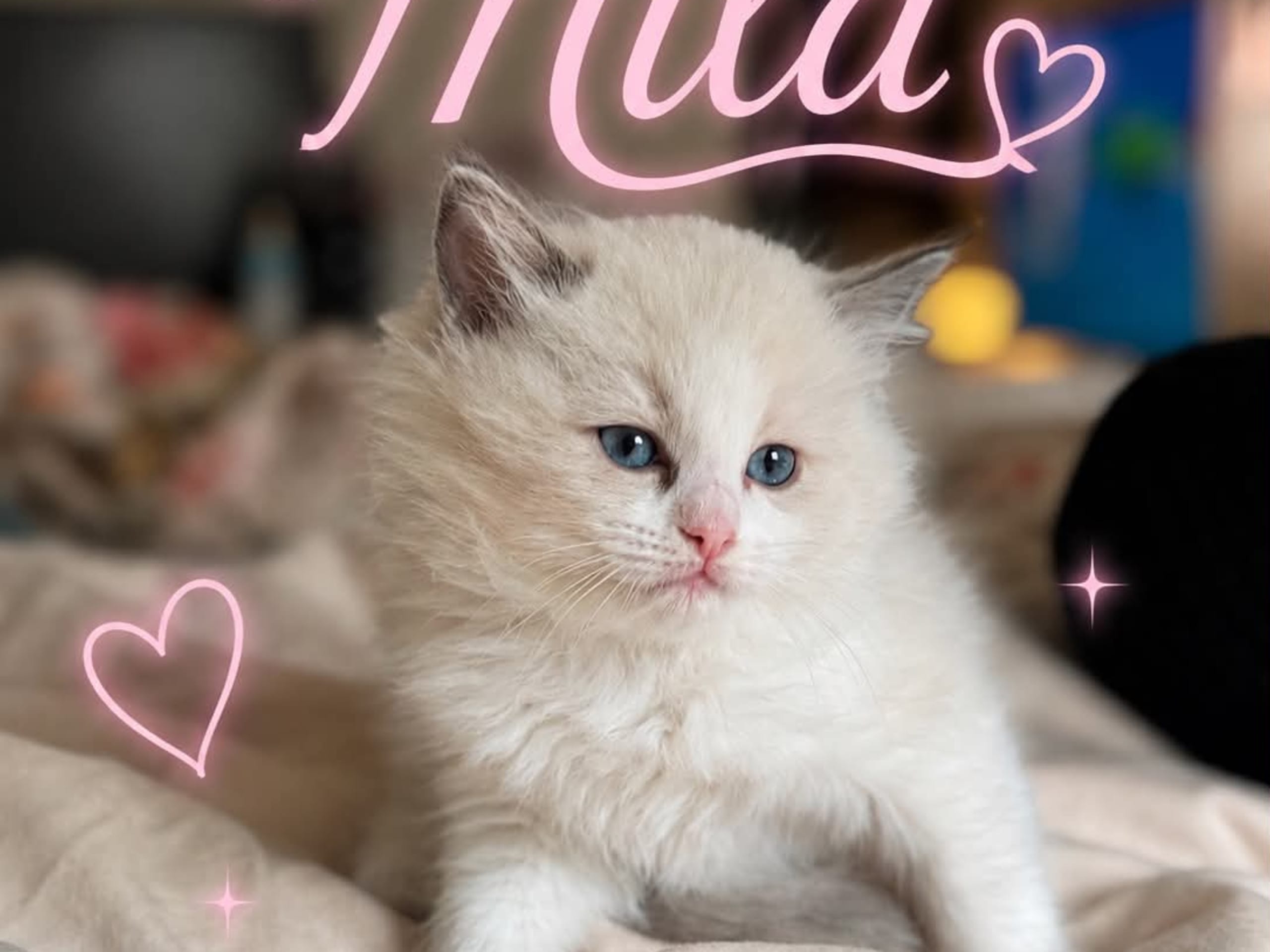 Mila