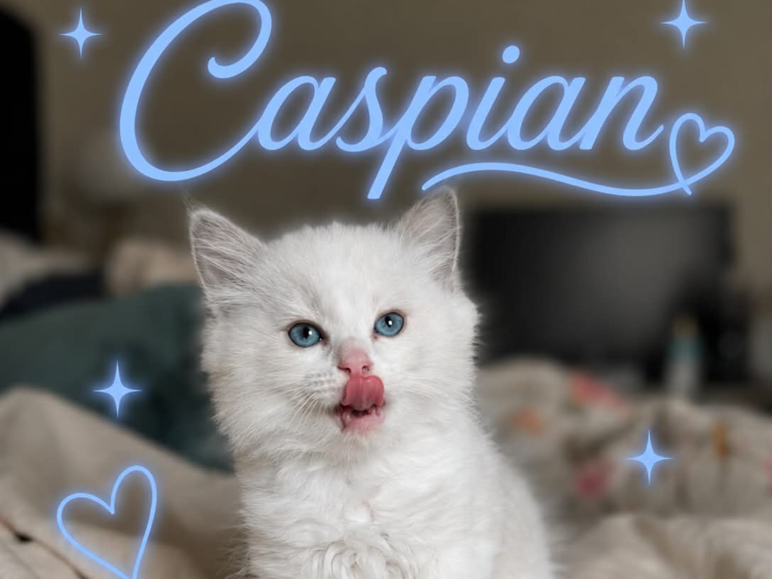 Caspian