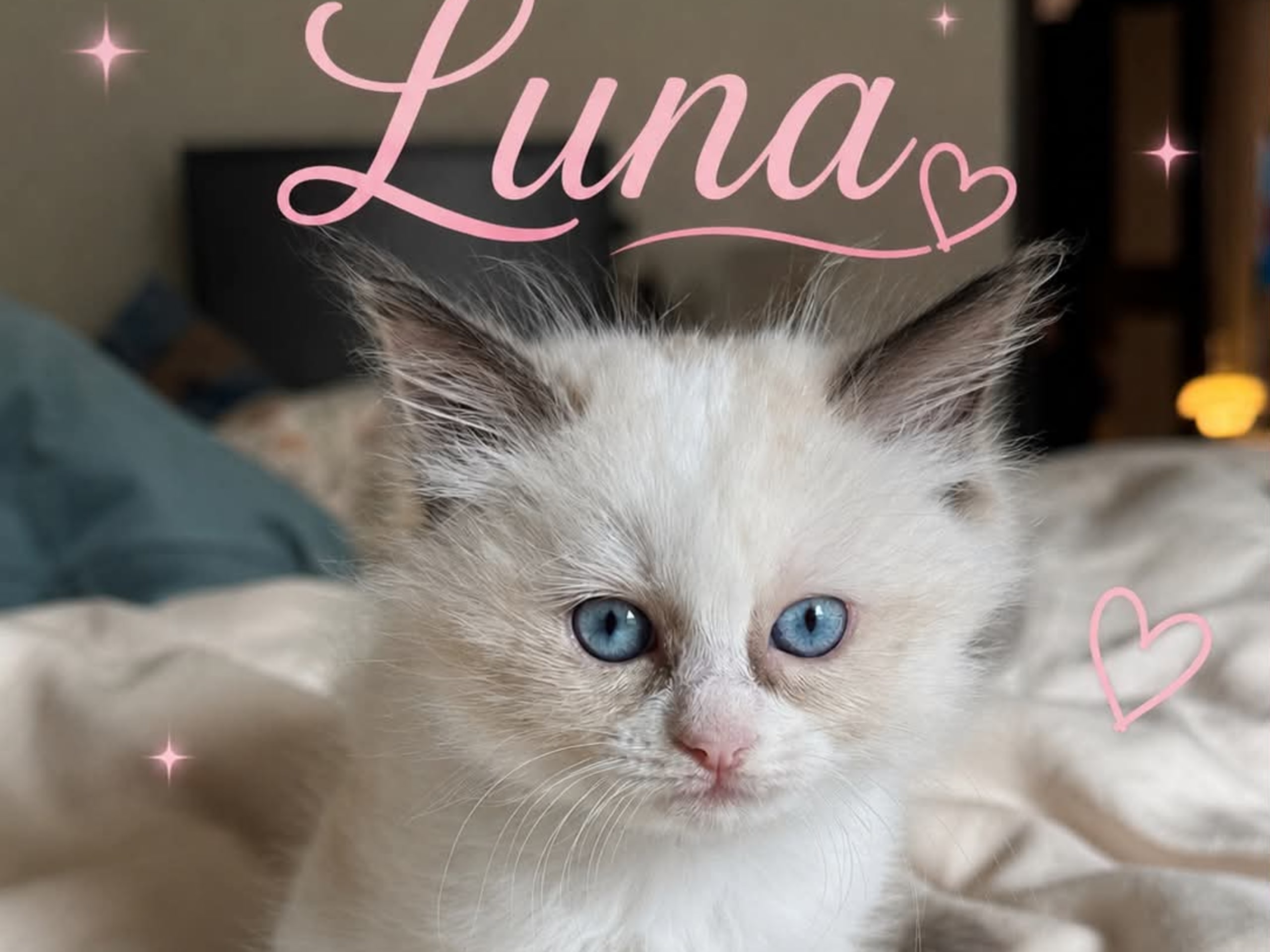 Luna
