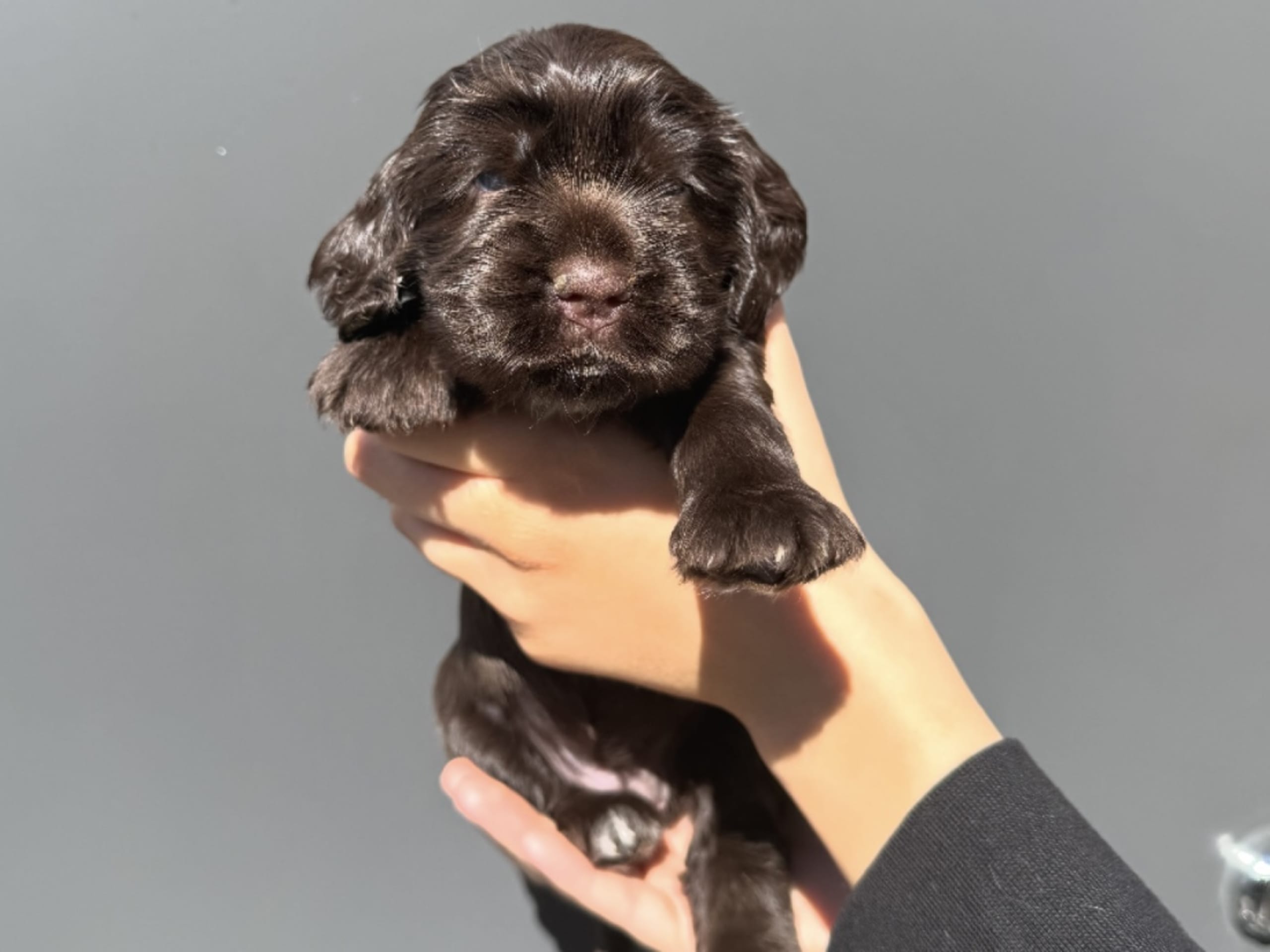 Luna