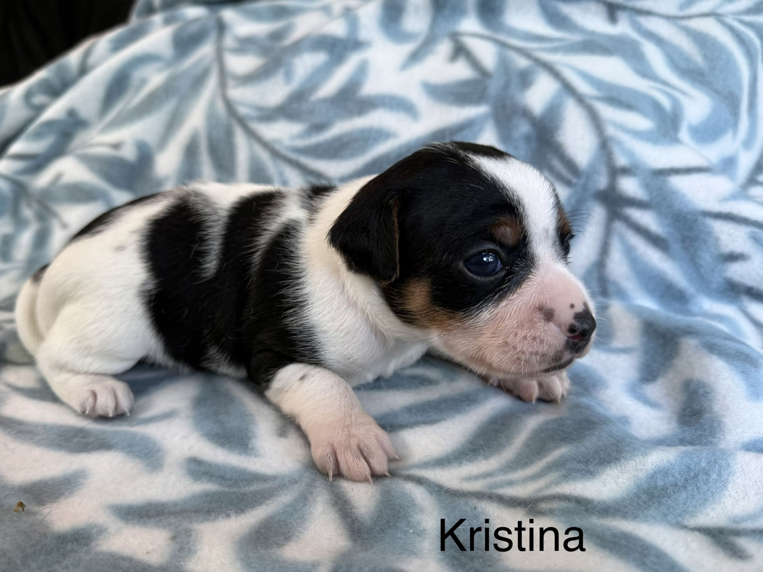 Kristina