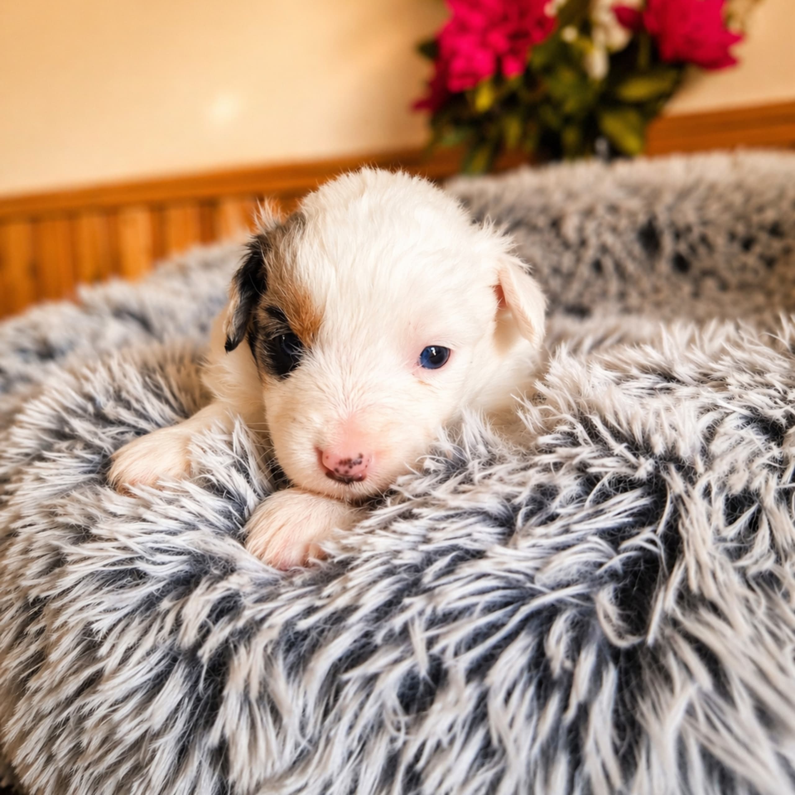 Emterborns