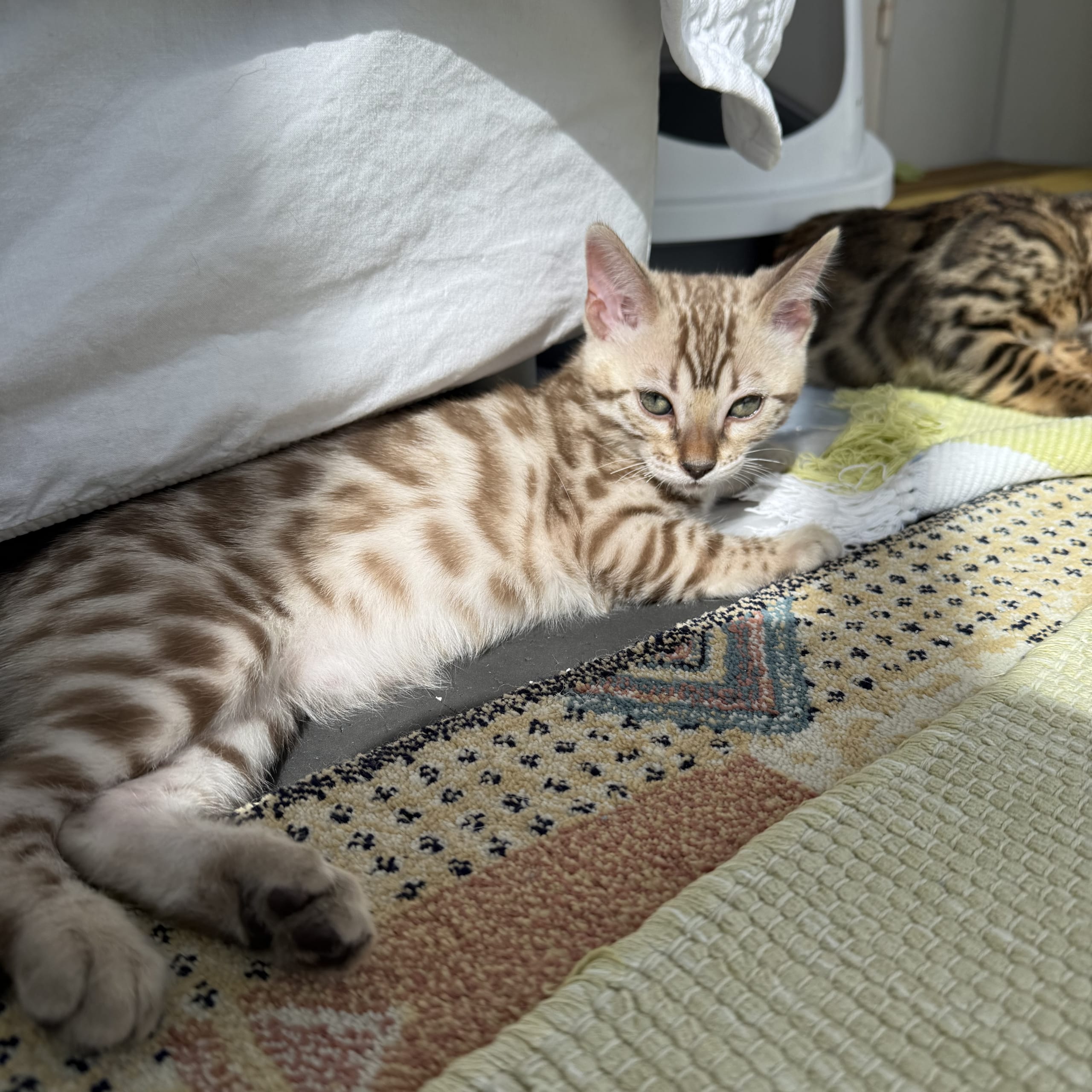 SE*Nancy&Lilly
