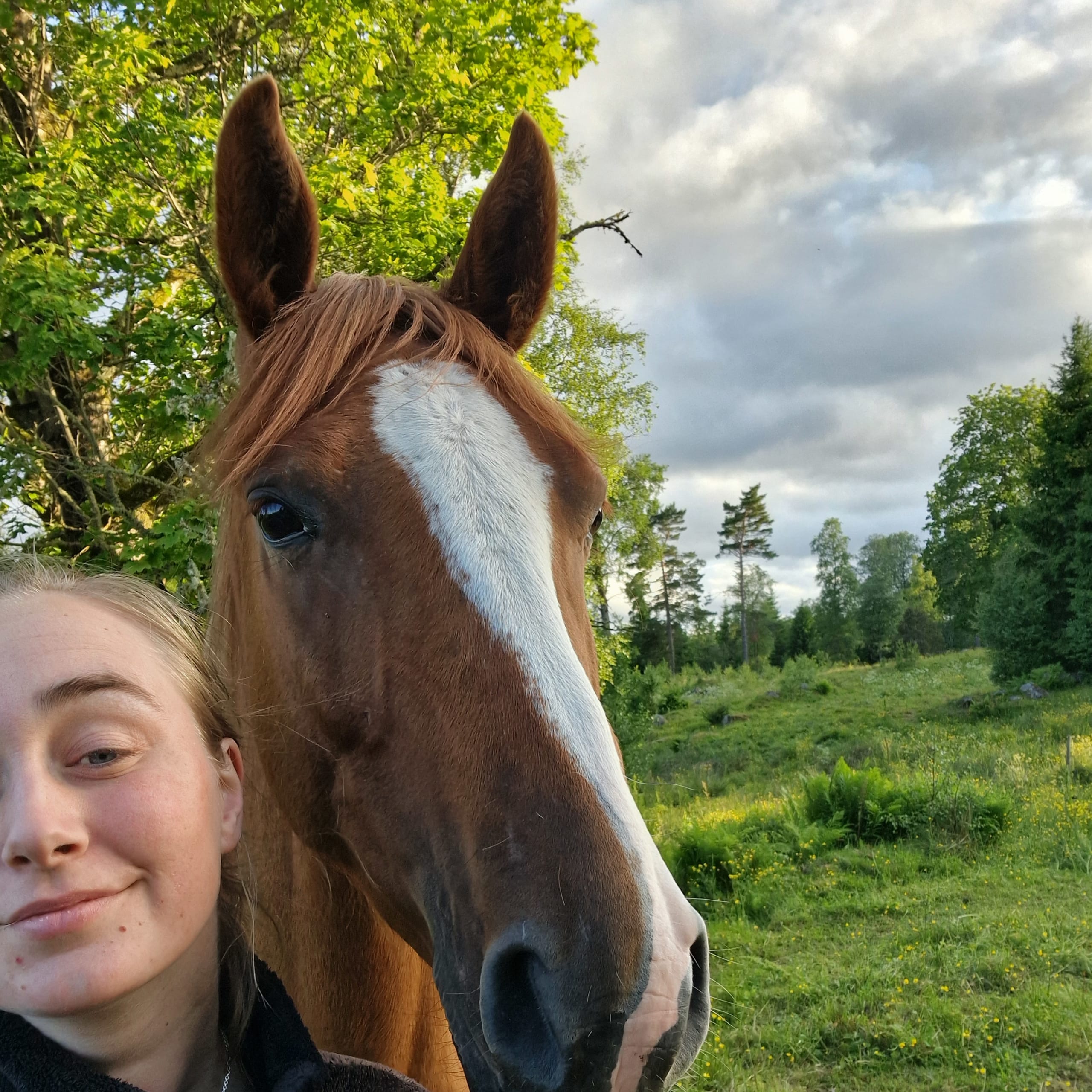 VÅ